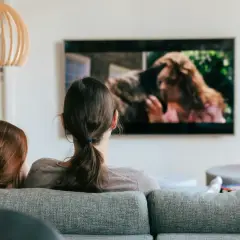 Dwie osoby oglądają film na ekranie telewizora. Na ekranie widać kobietę z rudymi włosami i zwierzę.