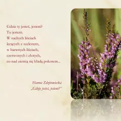 Wiersz o deszczu jesiennym. Wśród wrzosów i suchych liści, jesień szepcze swoje historie.