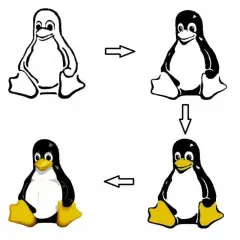 Pingwin, jakie zwierzę jest symbolem systemu operacyjnego Linux, ewoluuje od szkicu do pełnego kolorowego logo.