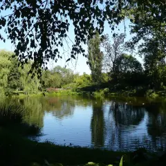 Spokojne jezioro w parku, odbijające drzewa i błękitne niebo. W oddali widać kwitnące krzewy, a na wodzie pływają kaczki. To piękny obraz końca lata, jak w wierszu.