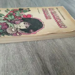 Okładka książki "Po słonecznej stronie" M. Jaworczakowej. Kto jest autorem książki? Oto jest Kasia, która uwielbia czytać.