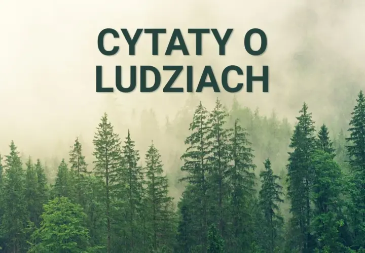 Mglisty las z napisem "Cytaty o ludziach" na górze.
