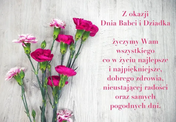Kwiaty goździków na drewnianym tle. Wiersz na Dzień Babci i Dziadka życzy wszystkiego najlepszego, zdrowia i radości.