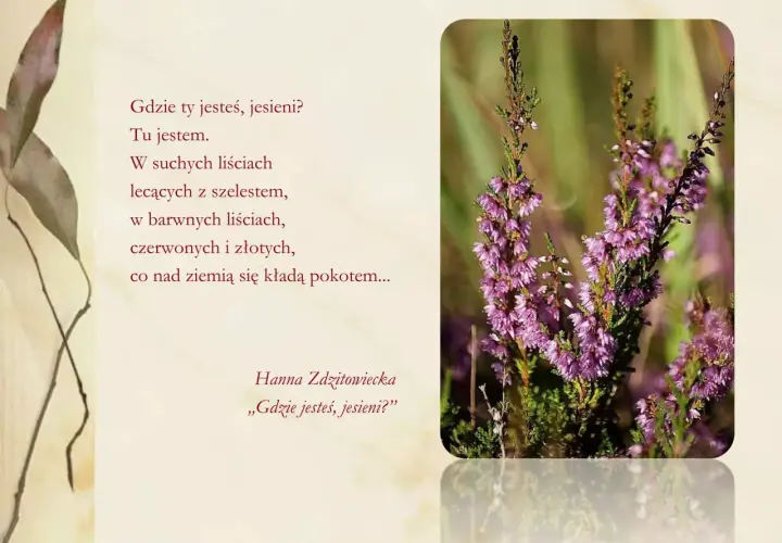 Wiersz o deszczu jesiennym. Wśród wrzosów i suchych liści, jesień szepcze swoje historie.