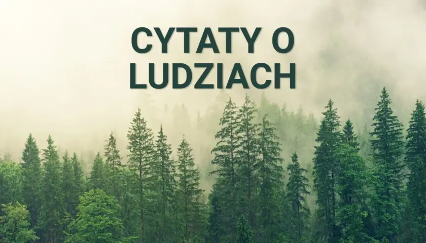 Mglisty las z napisem "Cytaty o ludziach" na górze.