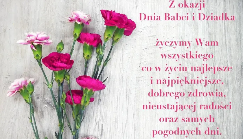 Kwiaty goździków na drewnianym tle. Wiersz na Dzień Babci i Dziadka życzy wszystkiego najlepszego, zdrowia i radości.
