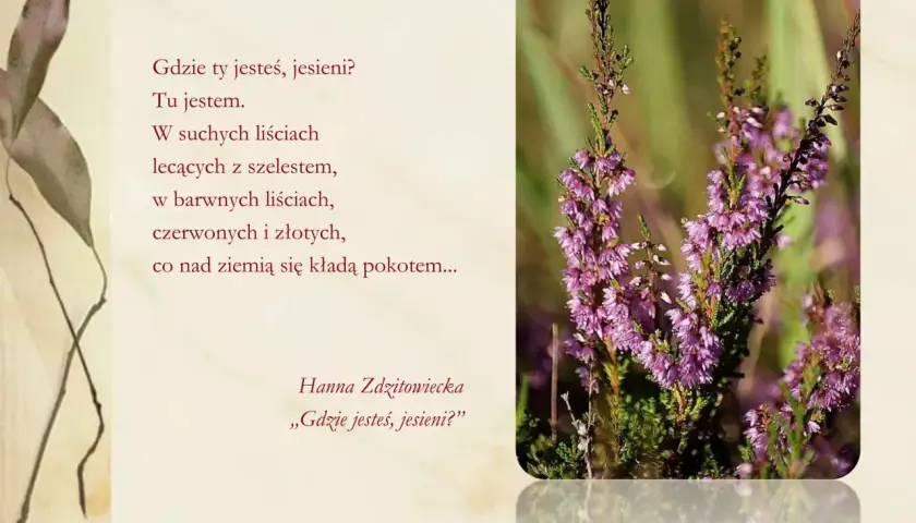 Wiersz o deszczu jesiennym. Wśród wrzosów i suchych liści, jesień szepcze swoje historie.