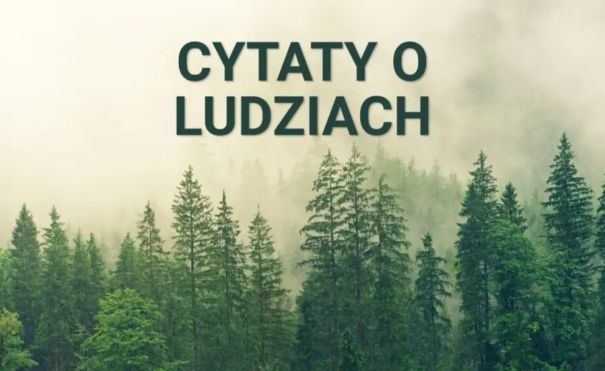Cytaty o ludziach: Spotkania, które zmieniają życie. Mądrość i refleksje