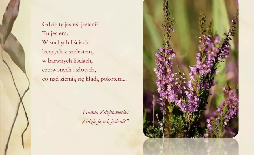 Jesienny deszcz w poezji: od Staffa po Baczyńskiego - poznaj wiersze