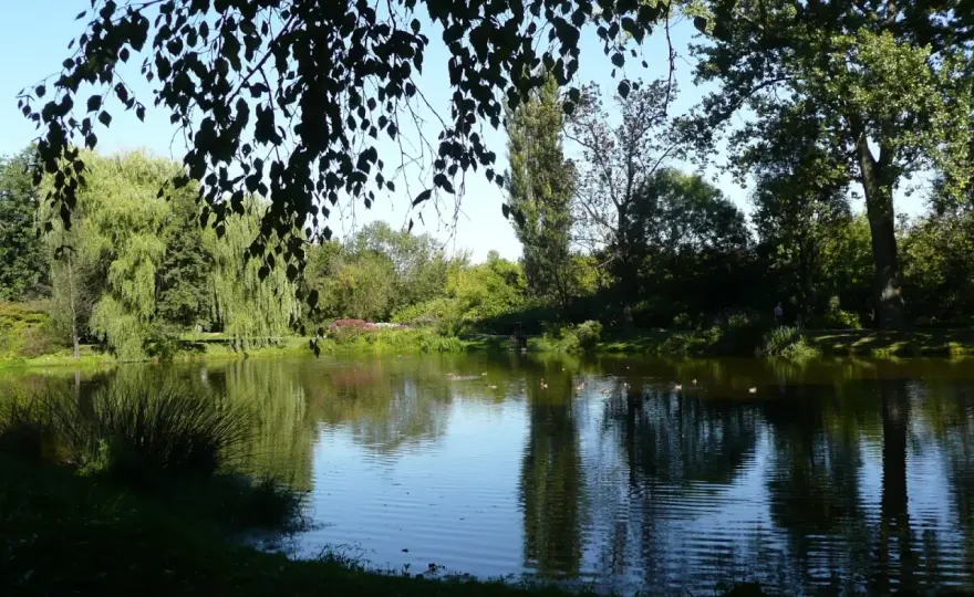 Wiersze o końcu lata: Nostalgia, piękno i refleksja
