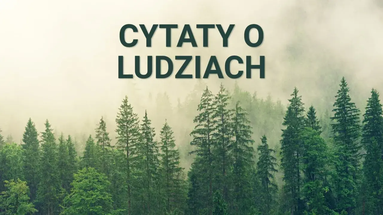 Mglisty las z napisem "Cytaty o ludziach" na górze.
