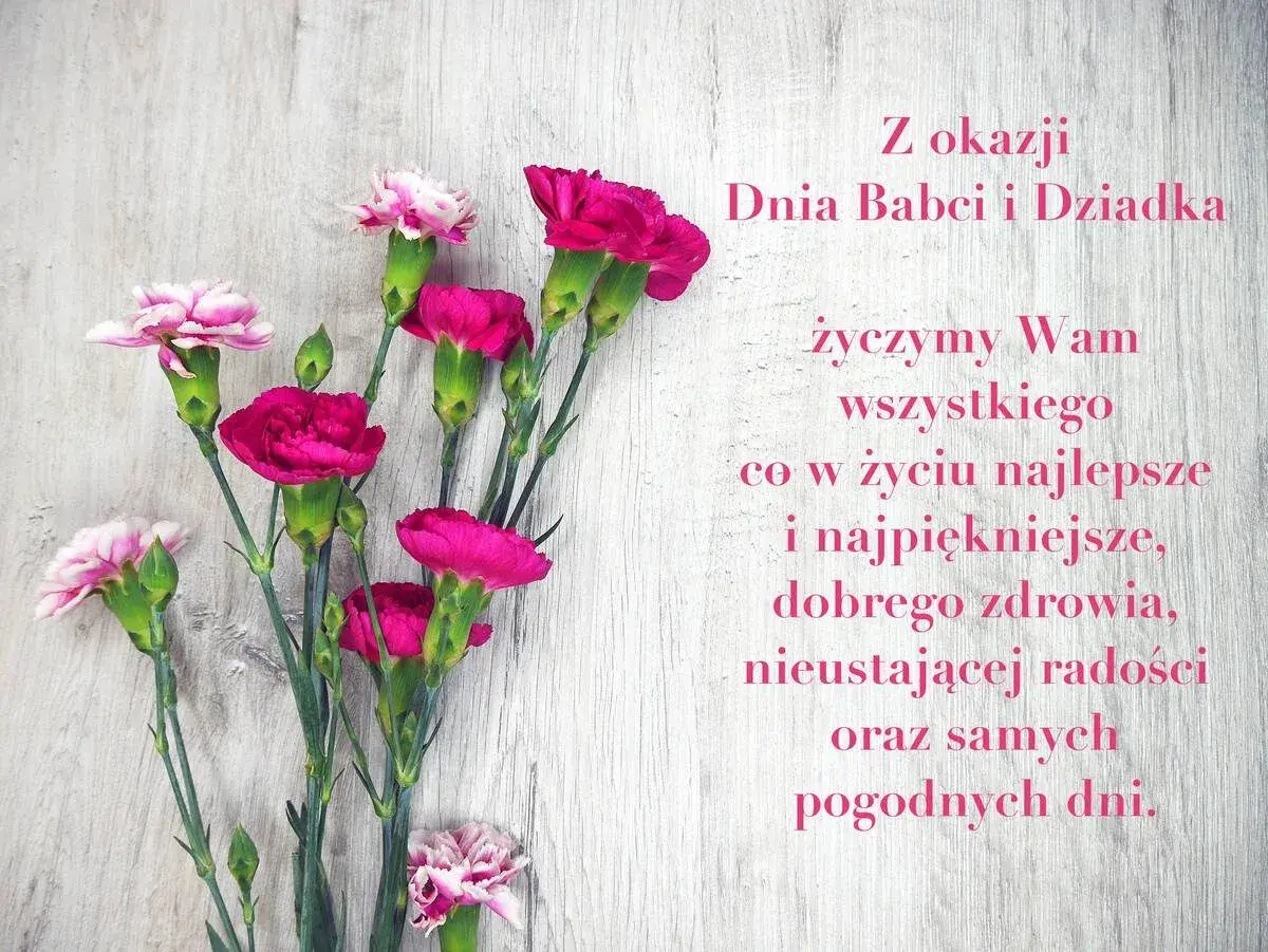 Kwiaty goździków na drewnianym tle. Wiersz na Dzień Babci i Dziadka życzy wszystkiego najlepszego, zdrowia i radości.